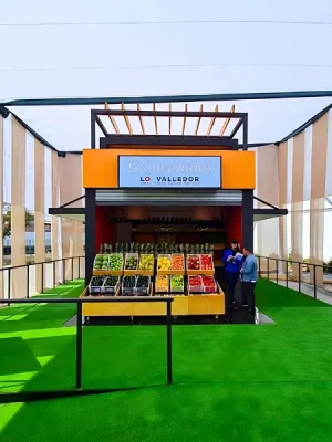 Proyectos ATS Carpas